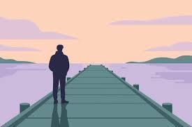 Image for The introvert